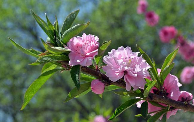 菠菜交流平台(菠菜交流网) (3)